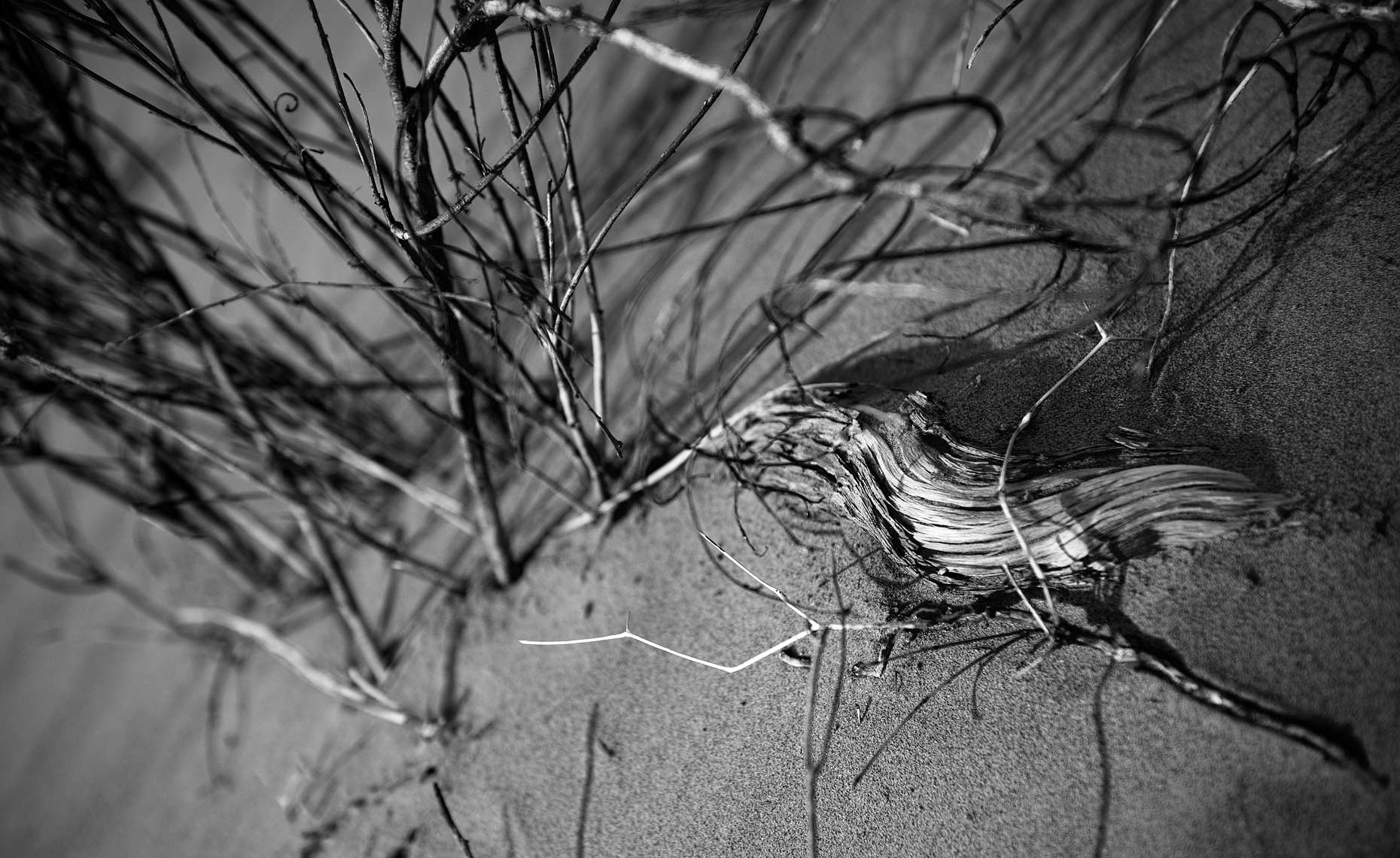 Guillaume-Corpart-Solitude-03